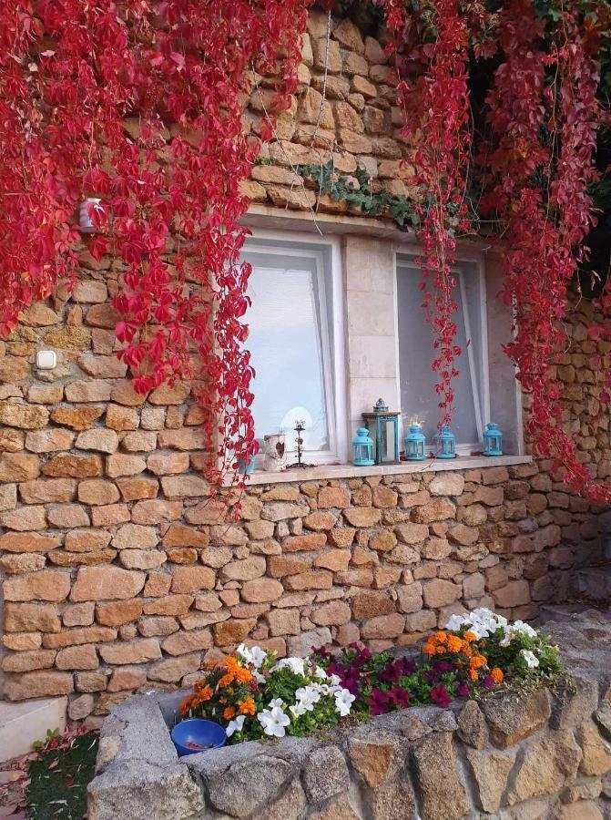 Best View Small House Free Parking Self Check-In Budapest Ngoại thất bức ảnh